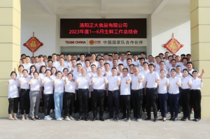 總結(jié)過去，計(jì)劃未來，協(xié)同創(chuàng)新，再創(chuàng)佳績(jī)！洛陽正大舉行2023年上半年工作總結(jié)會(huì)議